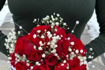 Classic red roses