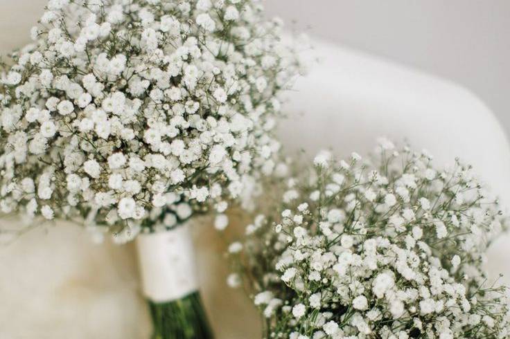 Baby's breath bunches