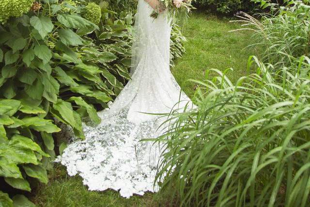 Beautiful brides