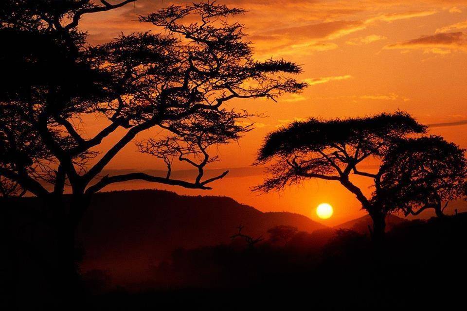 Sunset in Serengeti