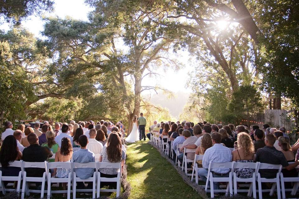 Wedding procession