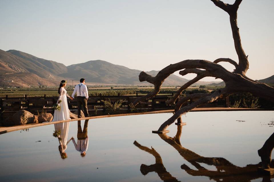 Wedding at Bruma