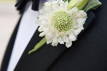 Hal's Flowers