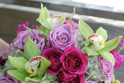 Purple roses