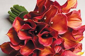International Floral Designs