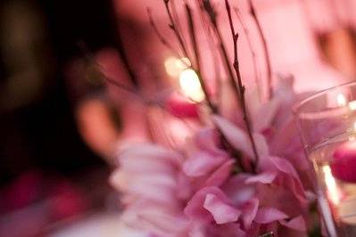 Pink Orchid Weddings