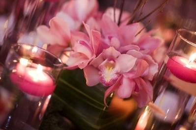 Pink Orchid Weddings