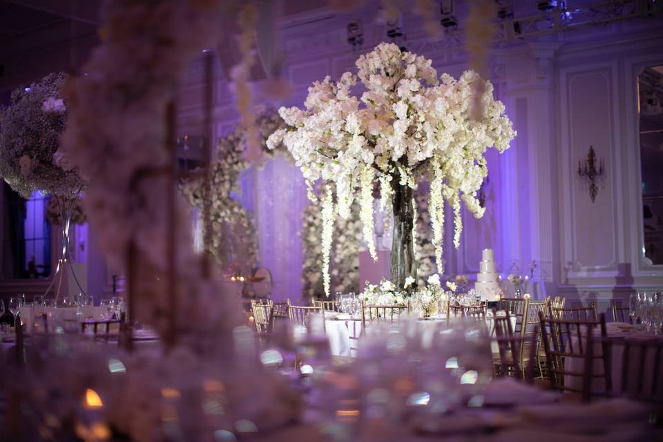 Dramatic centerpieces