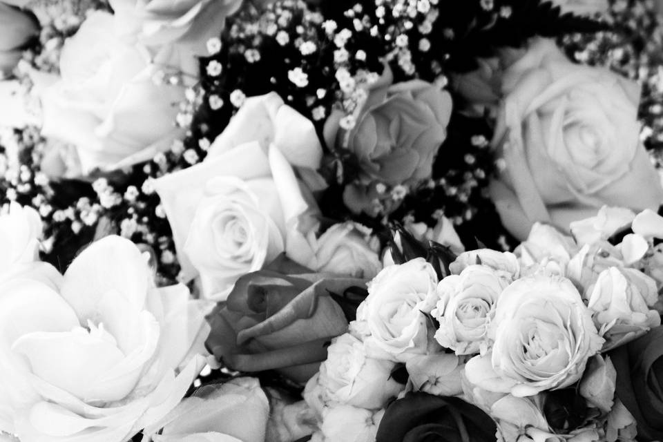 HotShots Photography