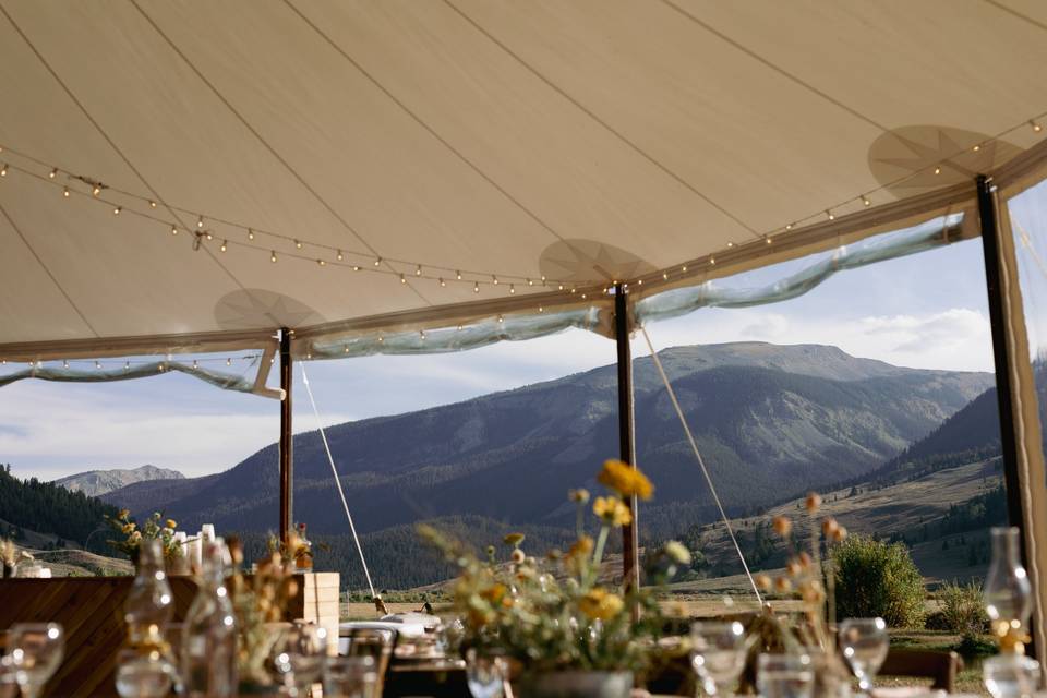 Tent (@homegrownvisuals)