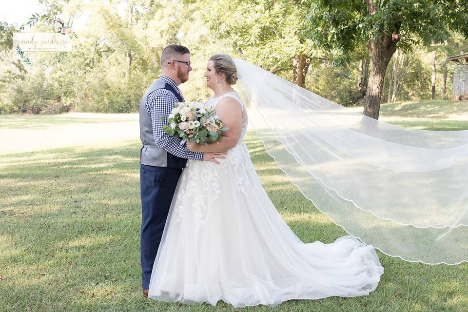 A Bride and her Veil