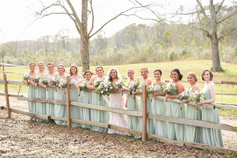 The Bride and Bridesmaids
