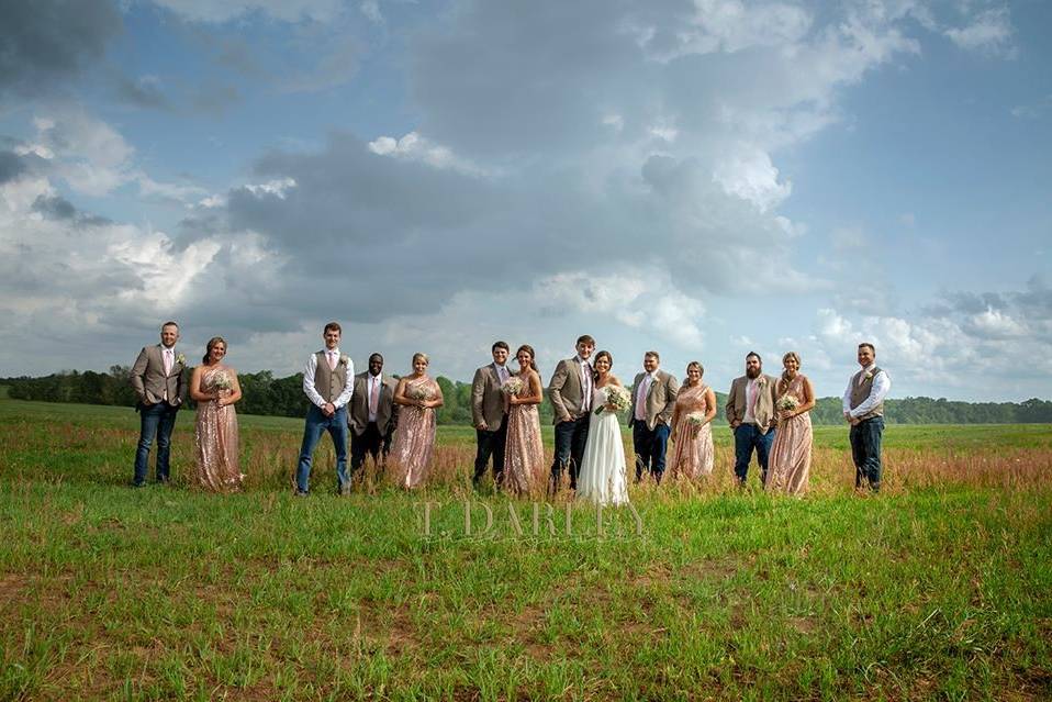 Bridal Party In Nature