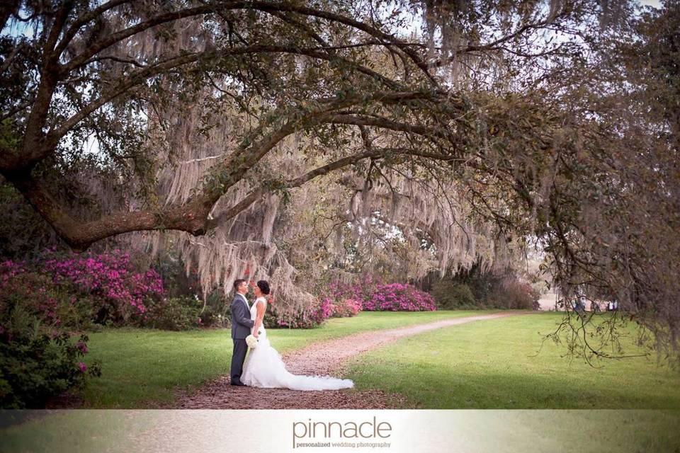 Pinnacle Weddings Photography