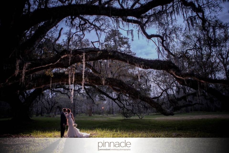 Pinnacle Charleston