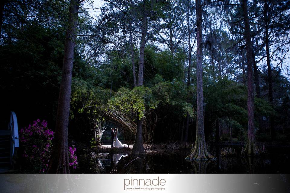 Pinnacle Charleston