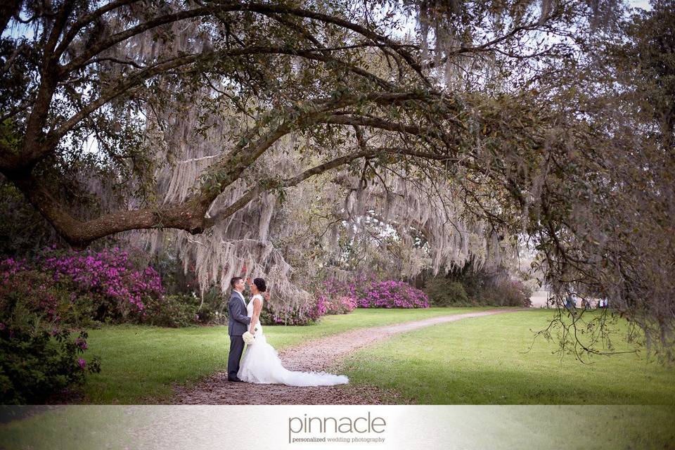 Pinnacle Charleston