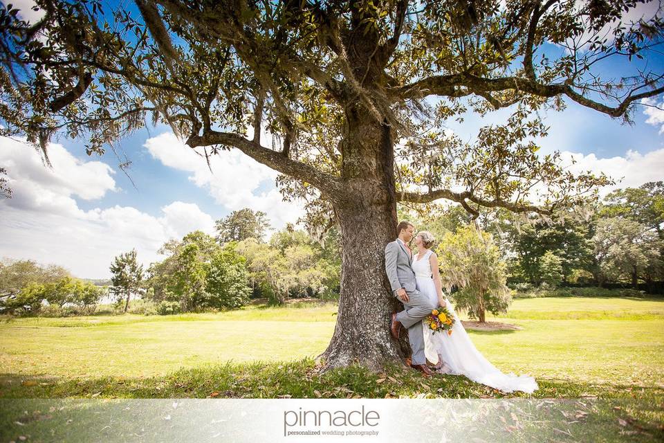 Pinnacle Charleston