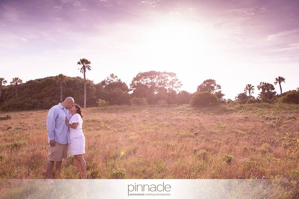 Pinnacle Charleston