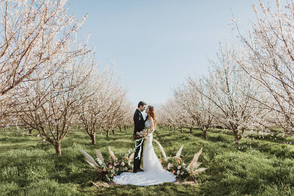 Whimsical Cherry Blossom Shoot