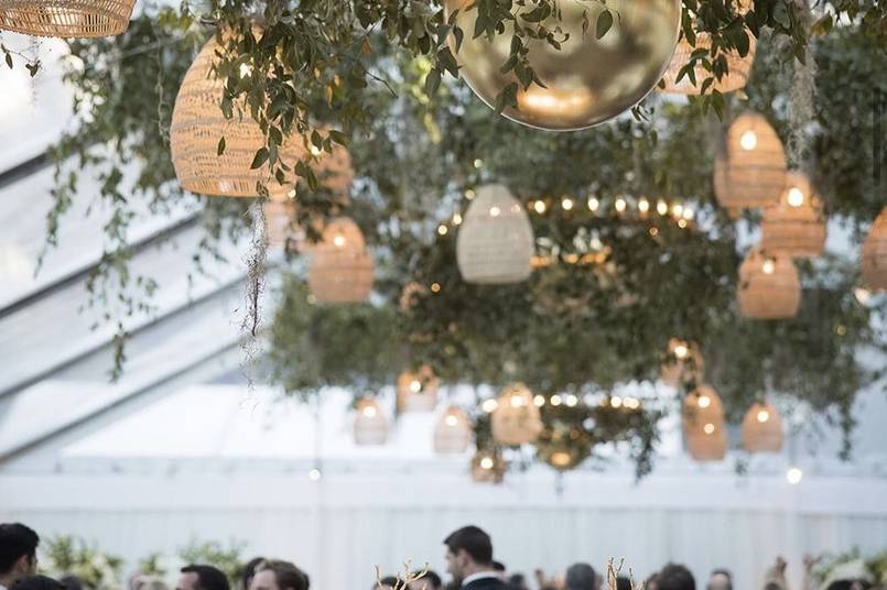 A Canopy that Danced!