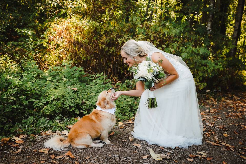 Bride and her dog