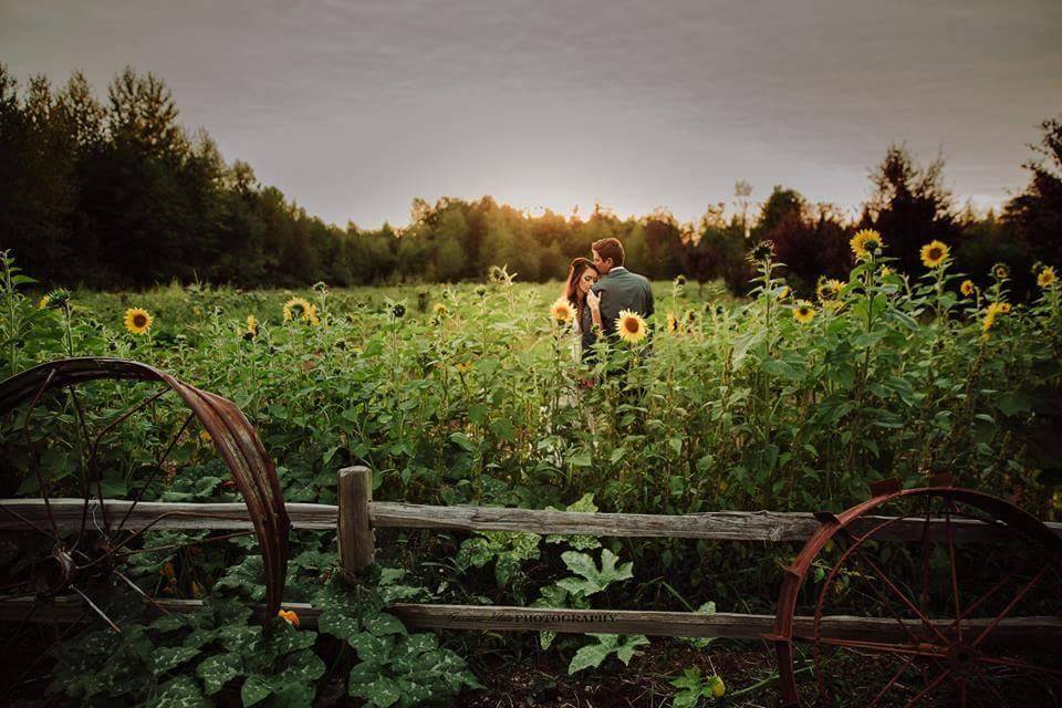 Wheels and sunflowers