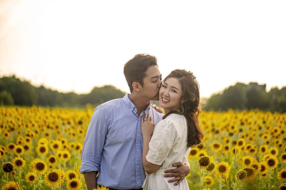 Sunflowers and true love