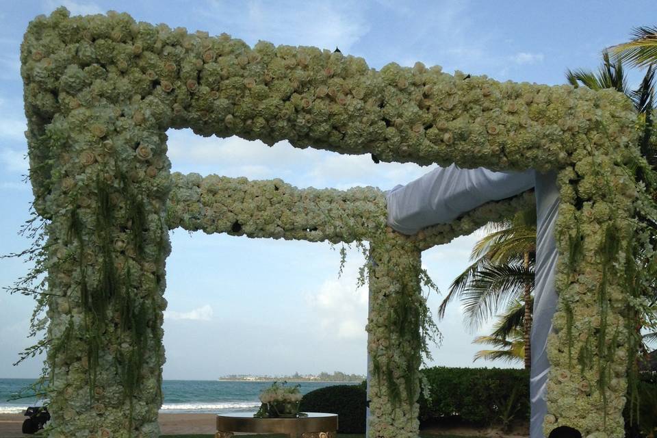 Large Chuppah