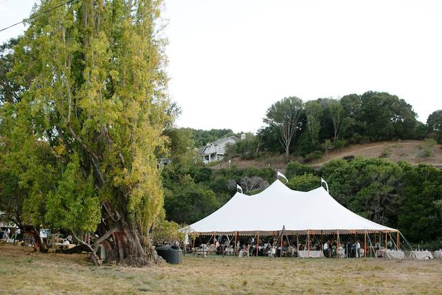 Outdoor ceremony