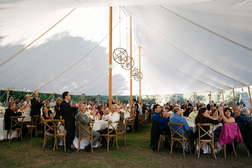 Louis Chair  Peerless Events and Tents