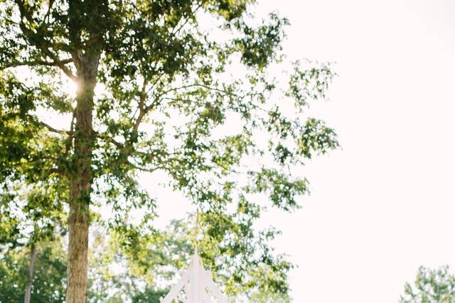 Bride and her bridesmaids