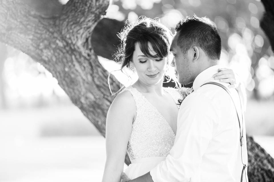 The Black Stallion | OBX WeddingPhotography: Maite PhotographyCoordination: The Proper SettingDecor: Bells & WhistlesMusic: DJ BruceCaterer: Ocean BoulevardDessert: Just DessertsRentals: Ocean Atlantic Rentals, I Do OBX ChairsHair & Makeup: Lovies Salon & Spa