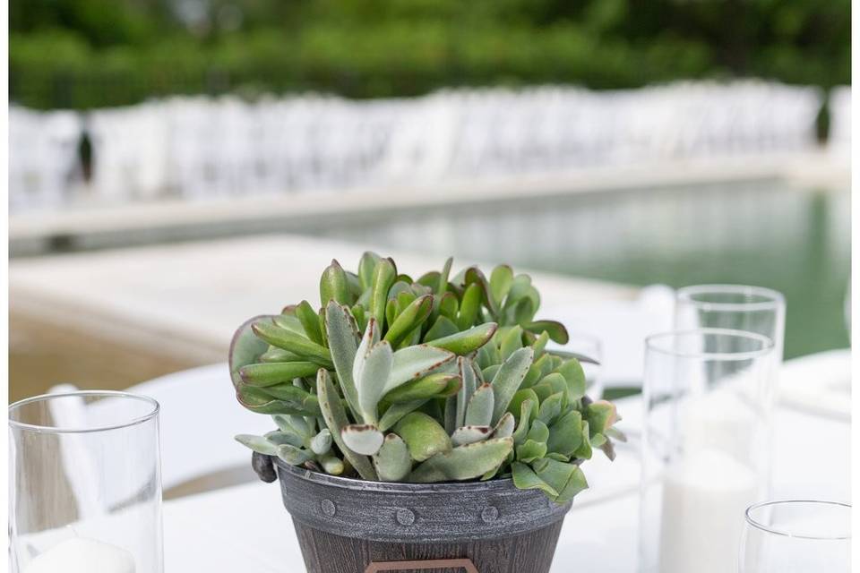 Poolside Dining