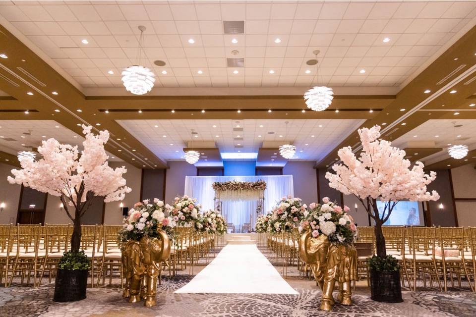 Ovation Decor & Events