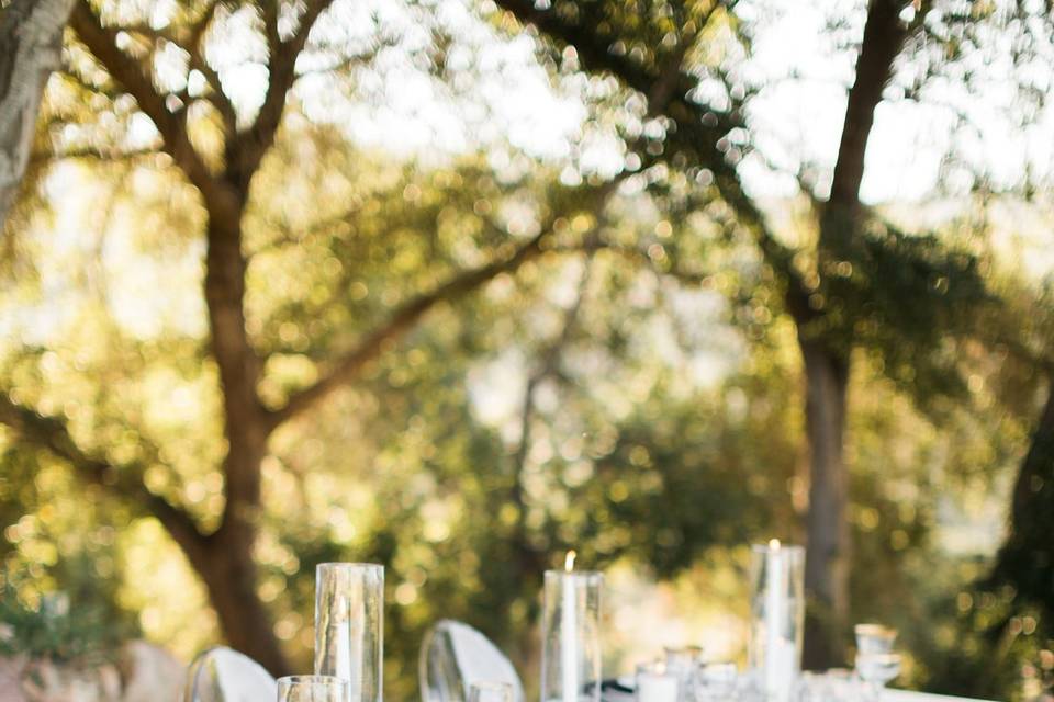 Ghost chairs and greenery