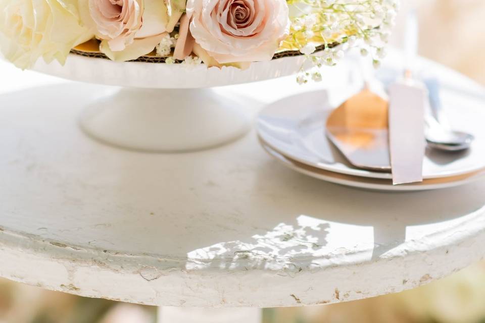 Beige and blush palette