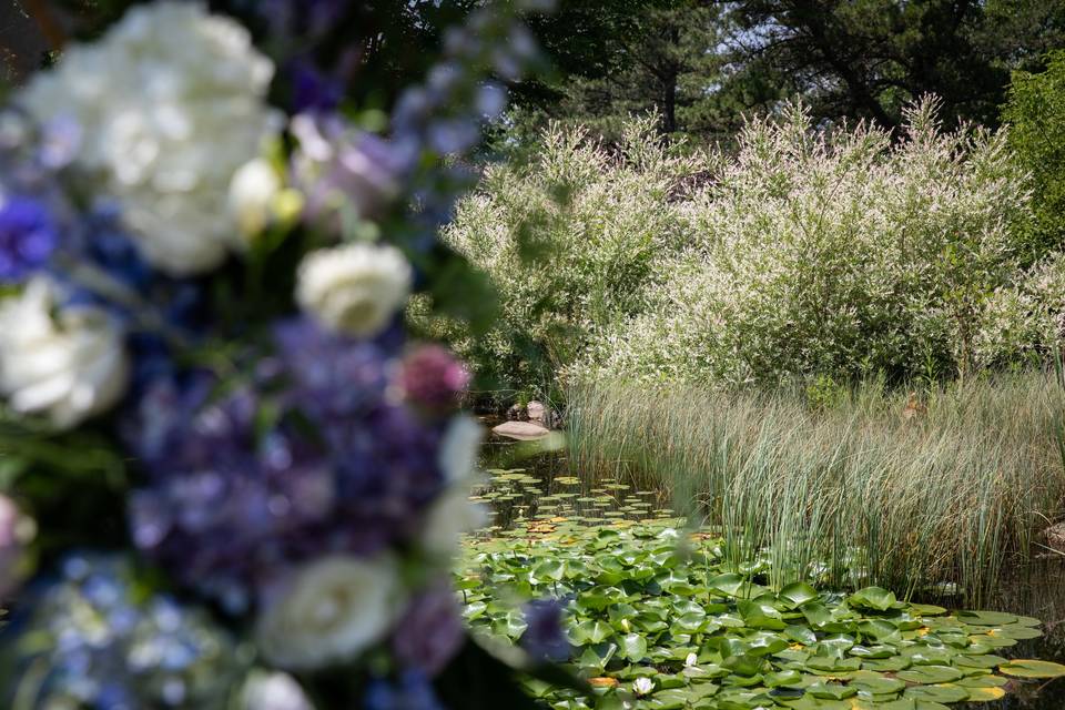 Monet's Garden Mirabeau