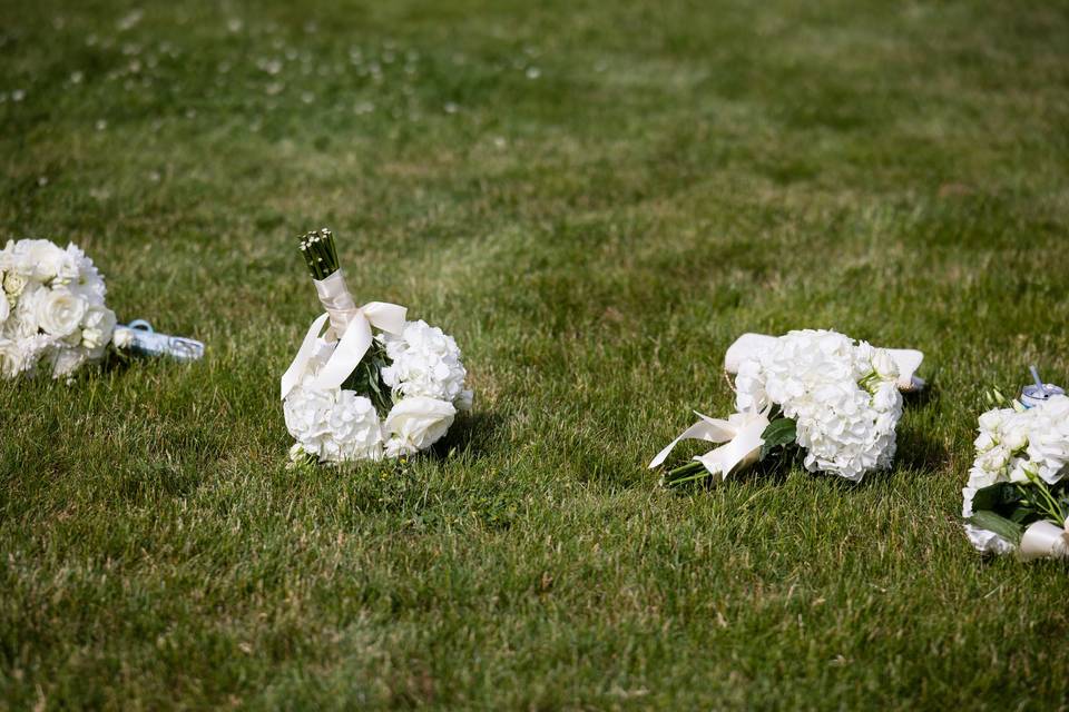 Kelly Cronin Photography