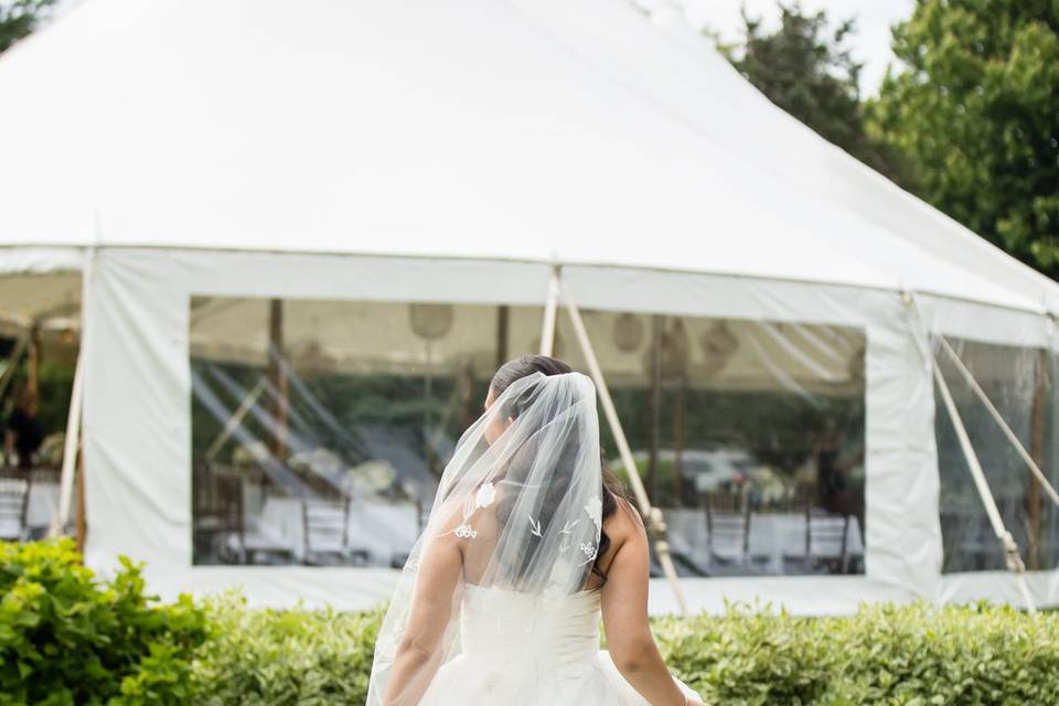 Kelly Cronin Photography