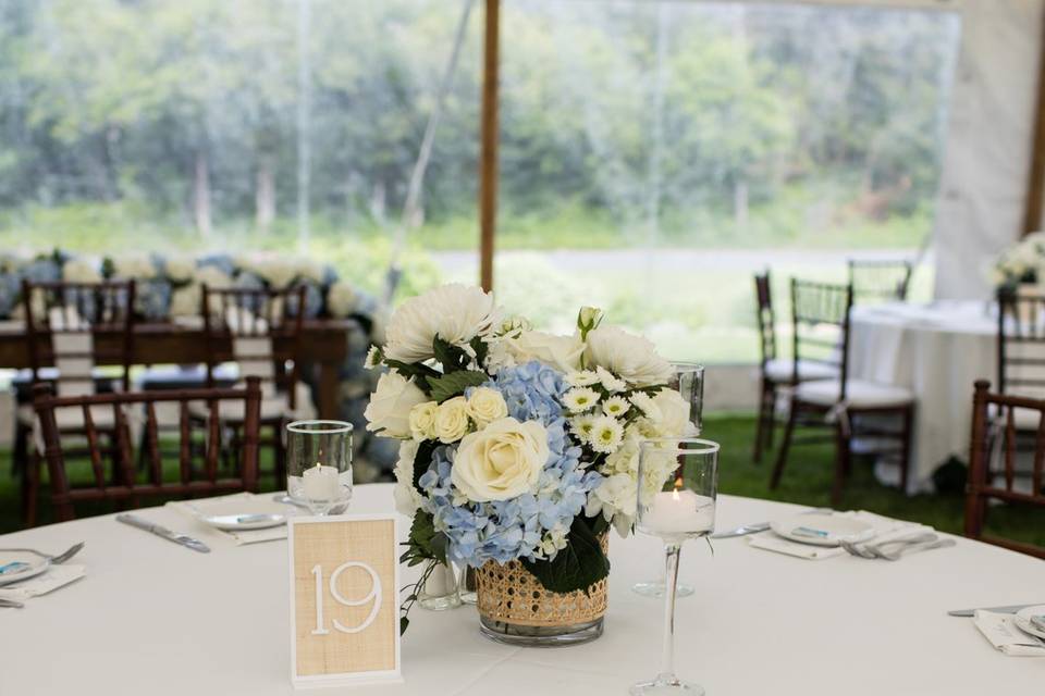 Kelly Cronin Photography