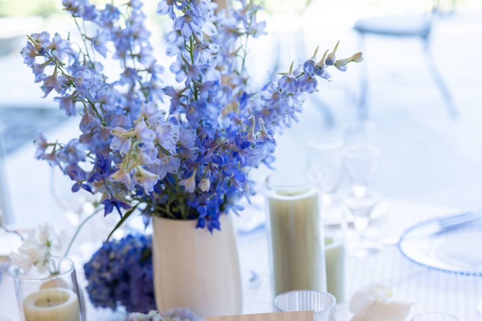 Angela Greenlaw Photography