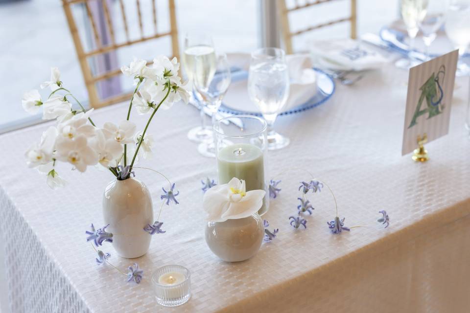 Angela Greenlaw Photography