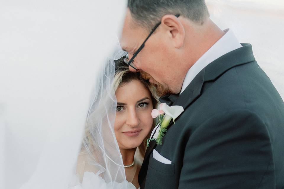Alex Paul Photography