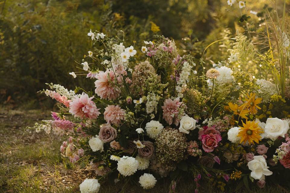 Violet Cristina Photography