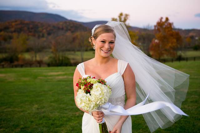 A More Beautiful You