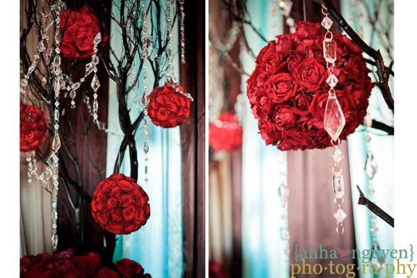 Anha Nguyen Photography