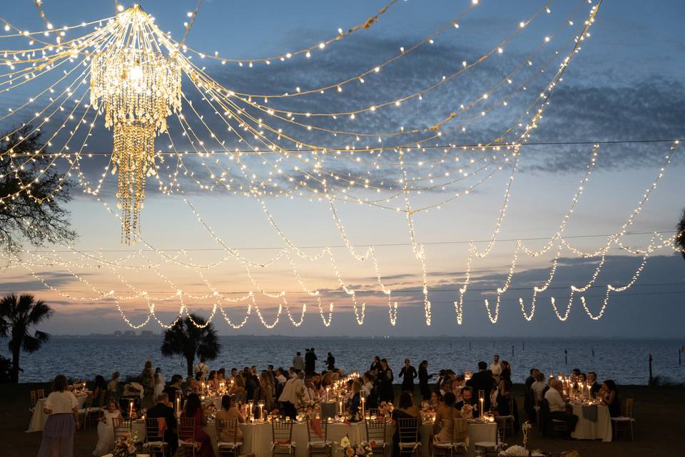 String Lit Reception