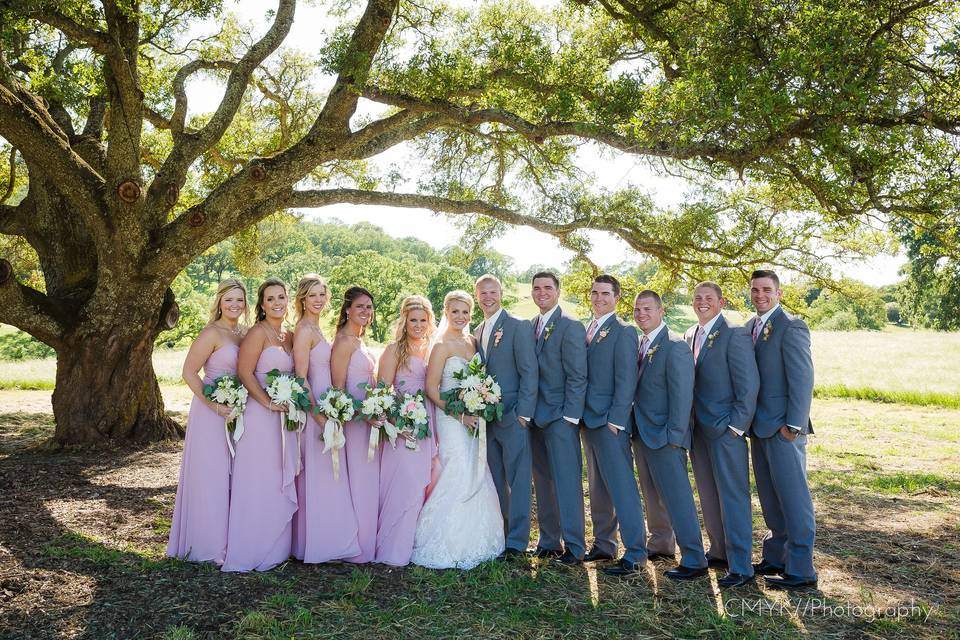 Couple with bridesmaids and groomsmen