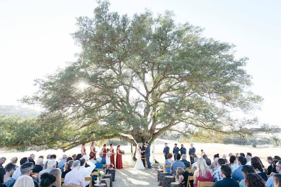 Outdoor wedding ceremony